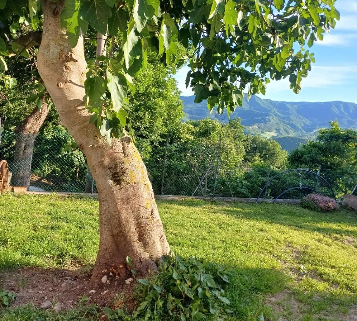 Relax Nella Natura, Casa Vacanze Con Vista In Toscana Sestino